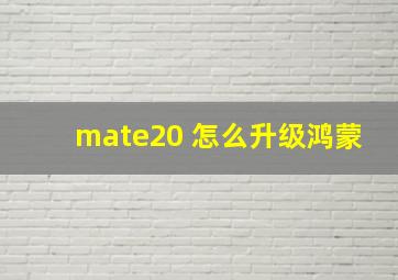 mate20 怎么升级鸿蒙